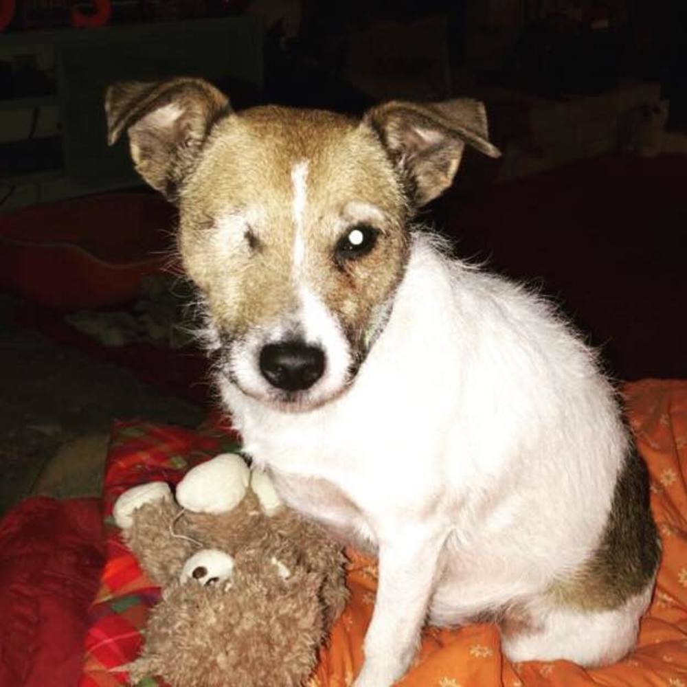 Meet your Posher, Doreen